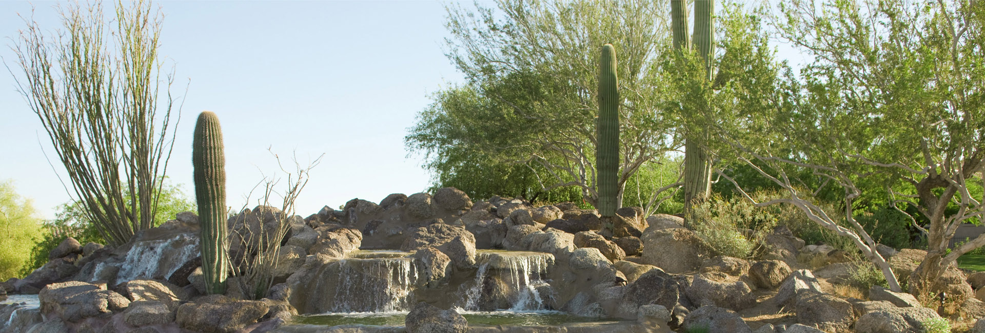 Outdoor Rock and Water Feature With Cactus Plants